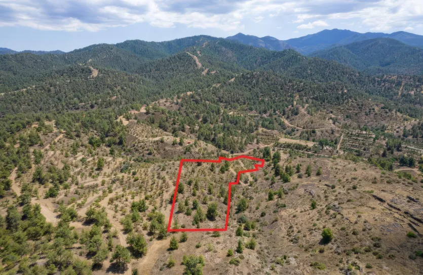 Agricultural land - 18542, photo 3