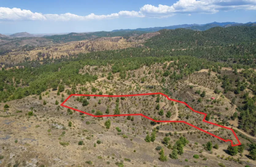 Agricultural land - 18542, photo 4