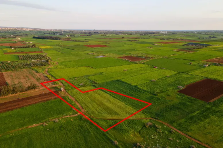 Agricultural land in Avgorou, Famagusta