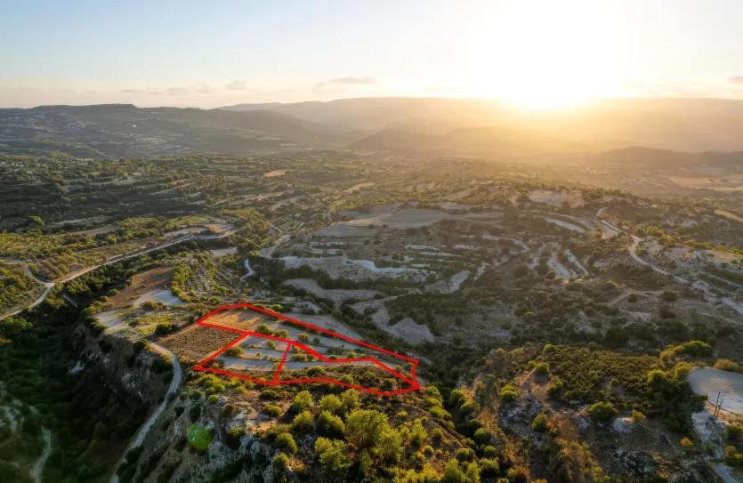 Agricultural land - 18545, photo 3