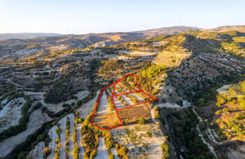 Agricultural land - 18545, photo 4