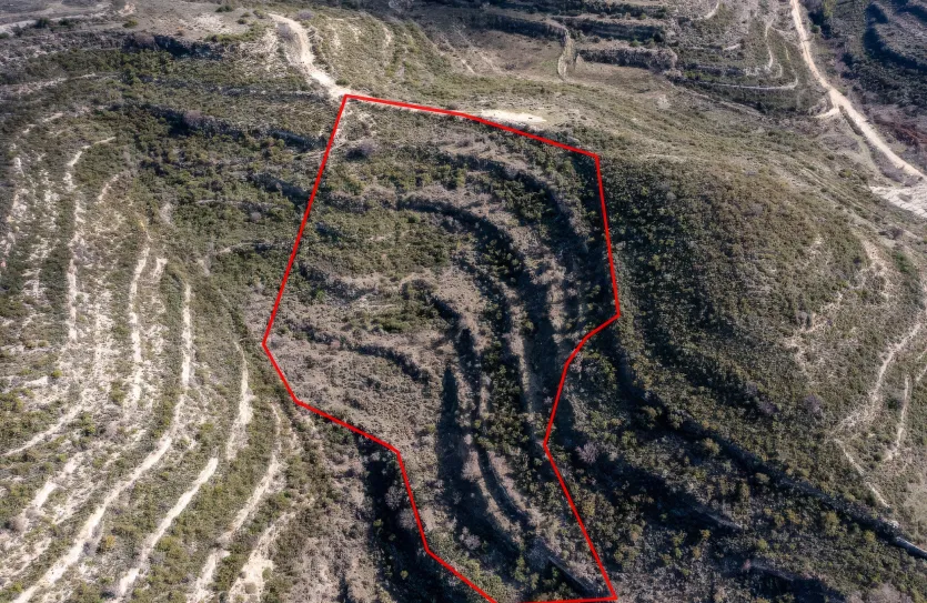 Сельхоз земля продажа - 18549