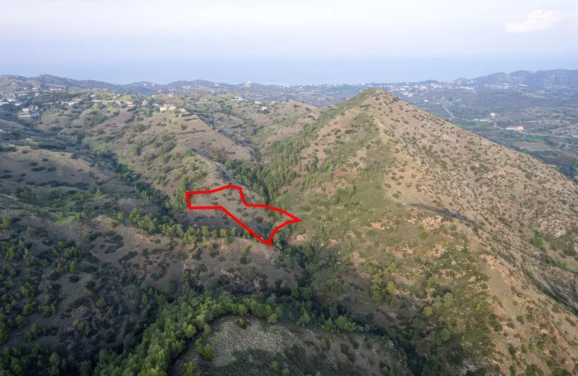 Agricultural land for sale - 18559