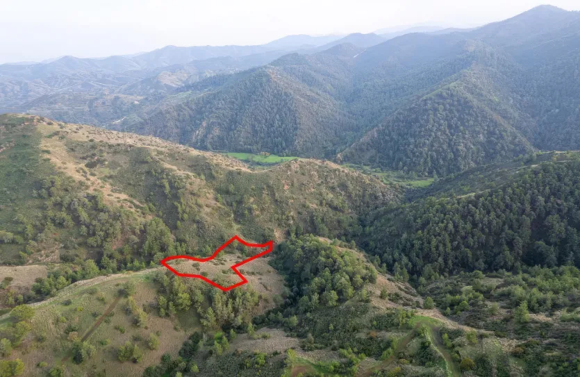 Agricultural land - 18559, photo 2