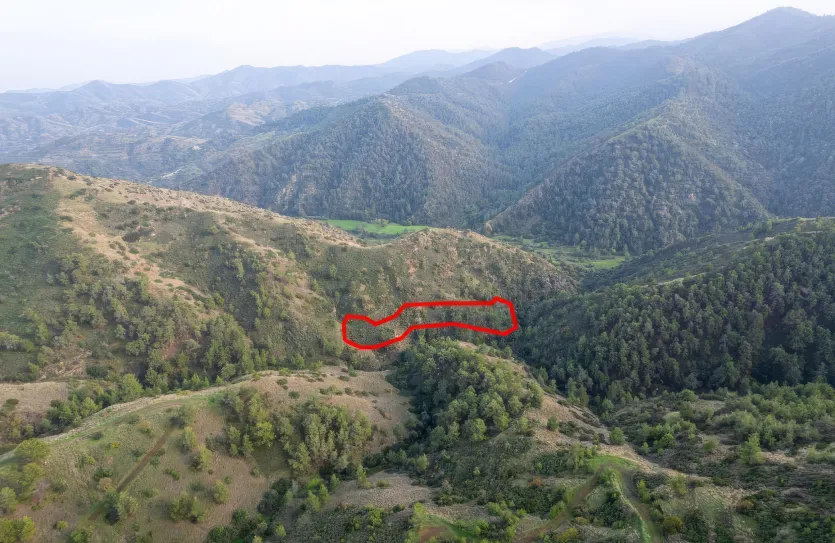 Agricultural land - 18558, photo 2