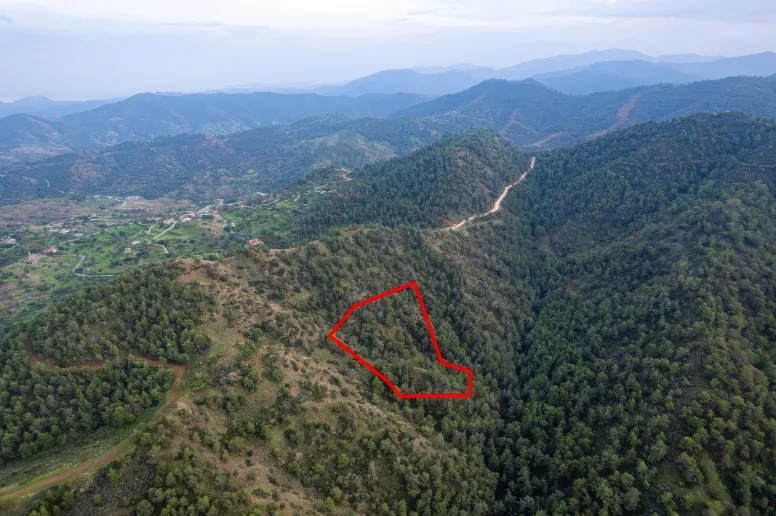 Agricultural land in Nicosia, Pano Pyrgos