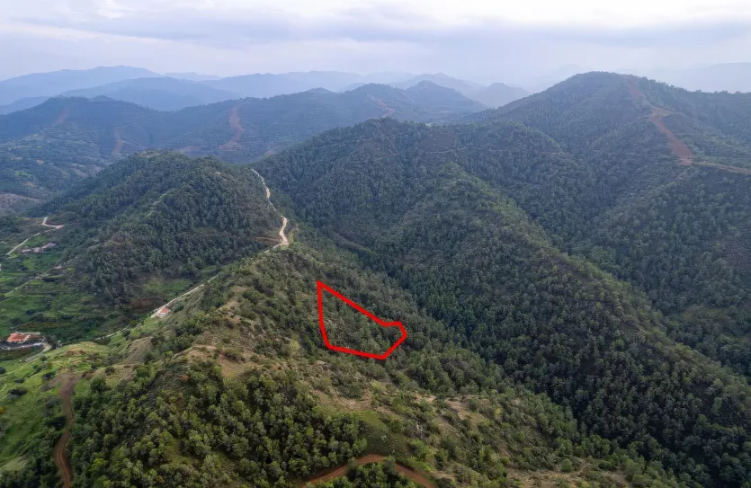 Agricultural land - 18557, photo 3