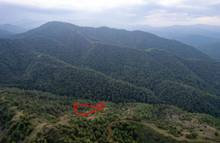 Agricultural land - 18557, photo 4