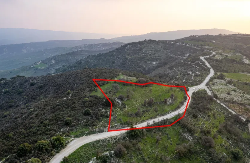 Agricultural land - 18560, photo 2