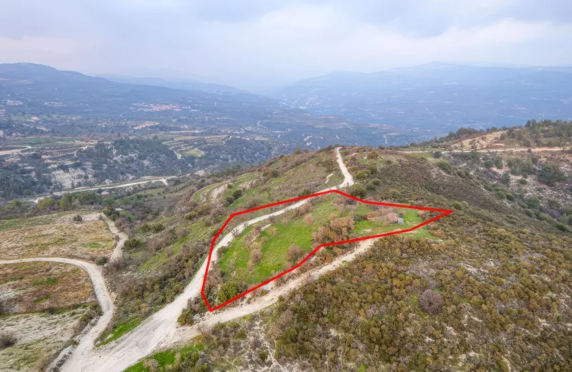 Agricultural land - 18560, photo 3