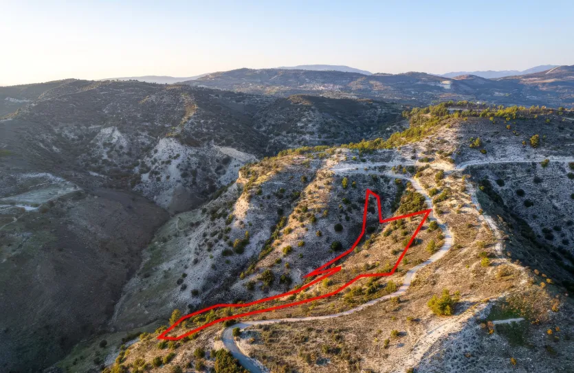 Agricultural land - 18562, photo 4