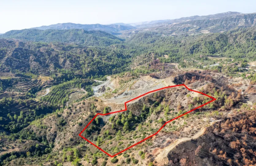 Agricultural land - 18567, photo 3