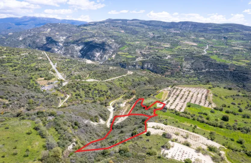 Agricultural land - 18569, photo 4