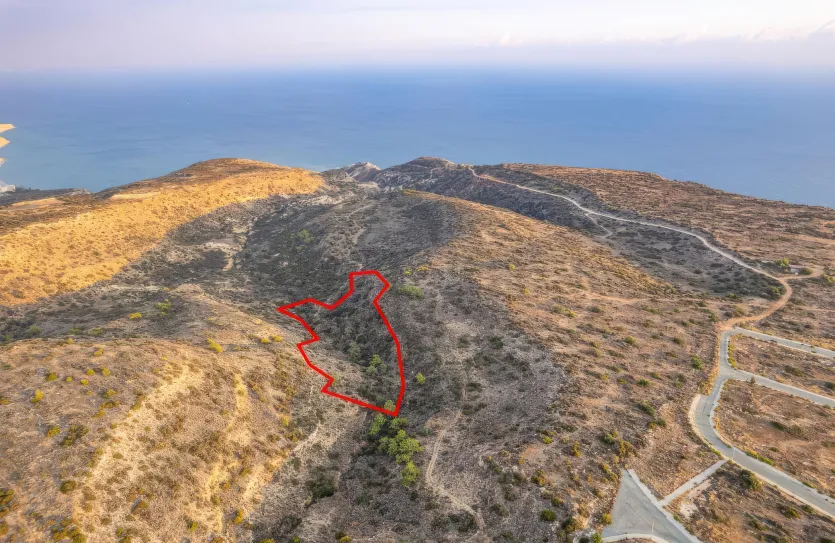 Agricultural land - 18571, photo 3