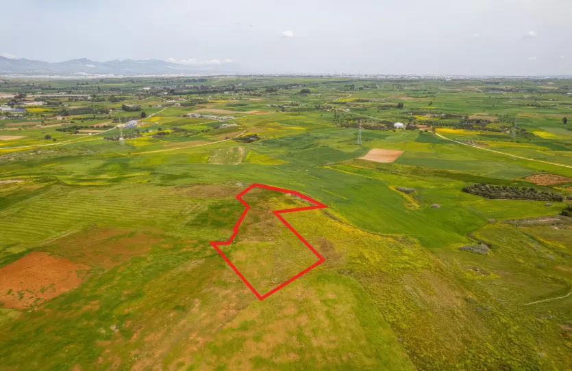 Agricultural land - 18572, photo 3