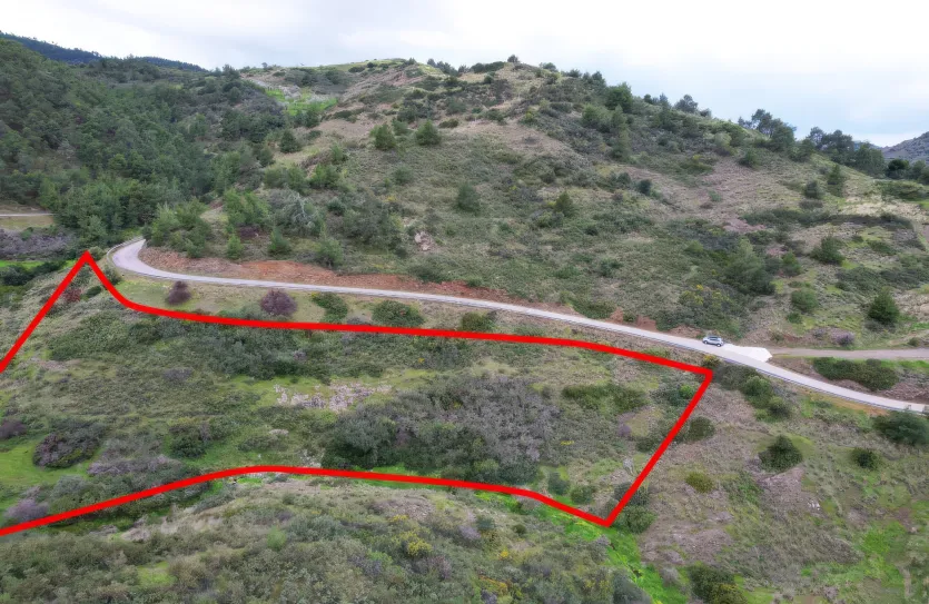 Земельный участок - 18431, photo 3