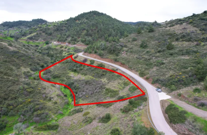 Земельный участок - 18431, photo 4