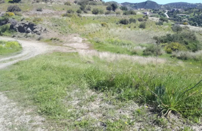 Residential plot - 18441, photo 3