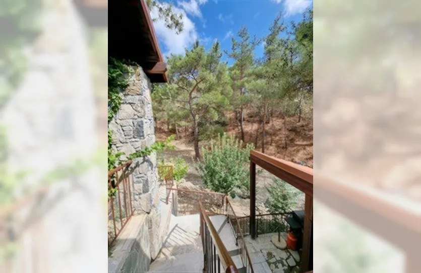 Дом с 5-ю спальнями - 13264, photo 16