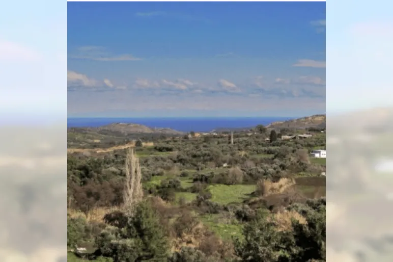 Limassol Property Plot 3850 m2 in Agios Tychonas