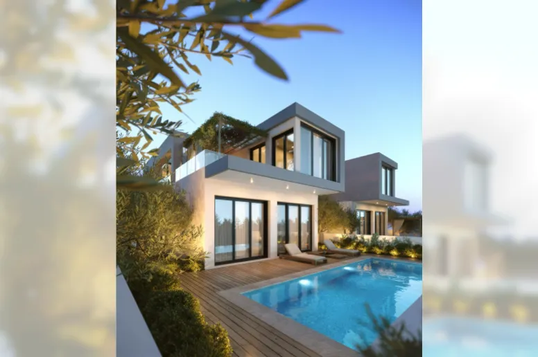 Дом в Киссонерге, Пафос