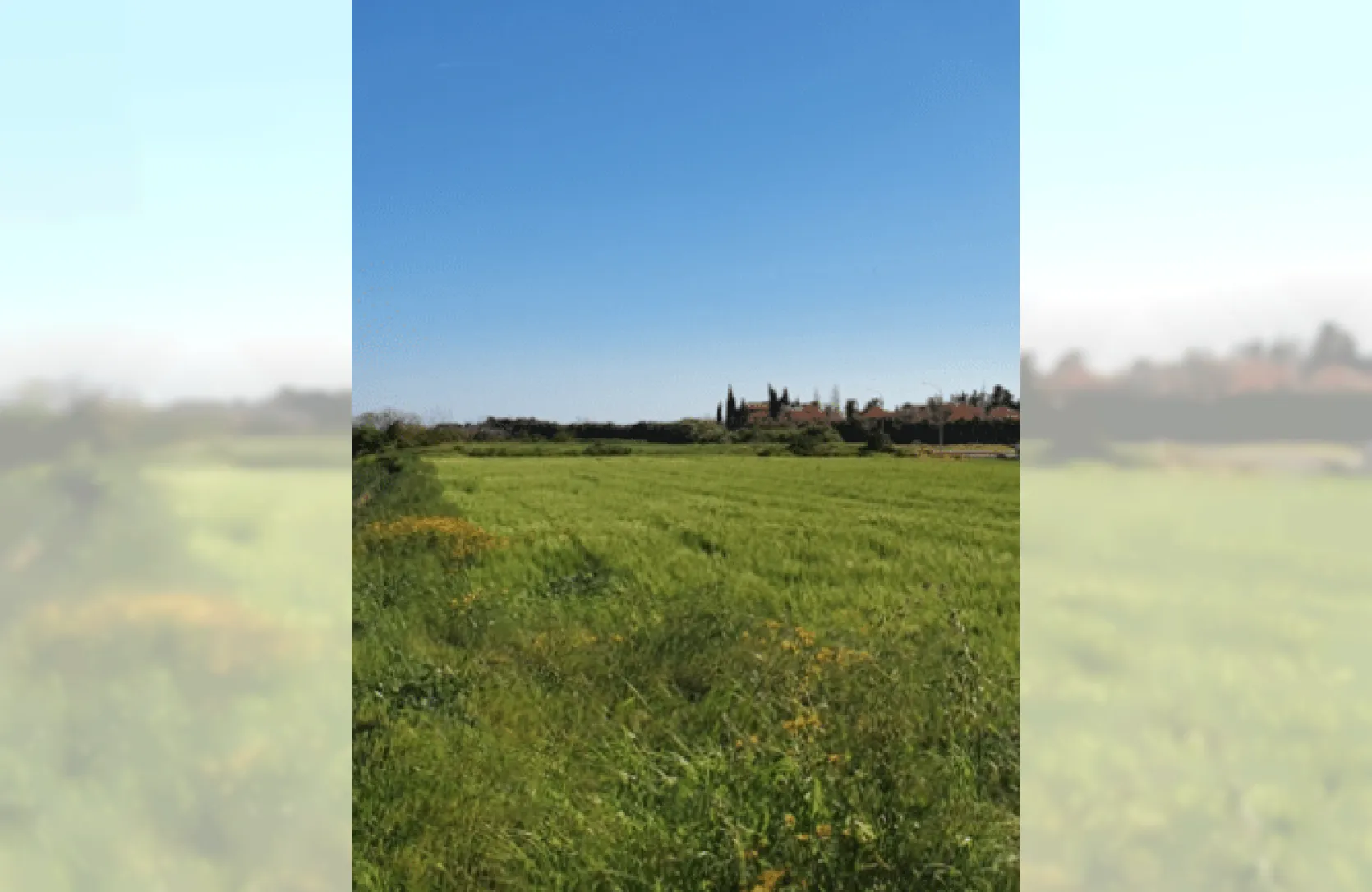 Industrial plot for sale - 13788