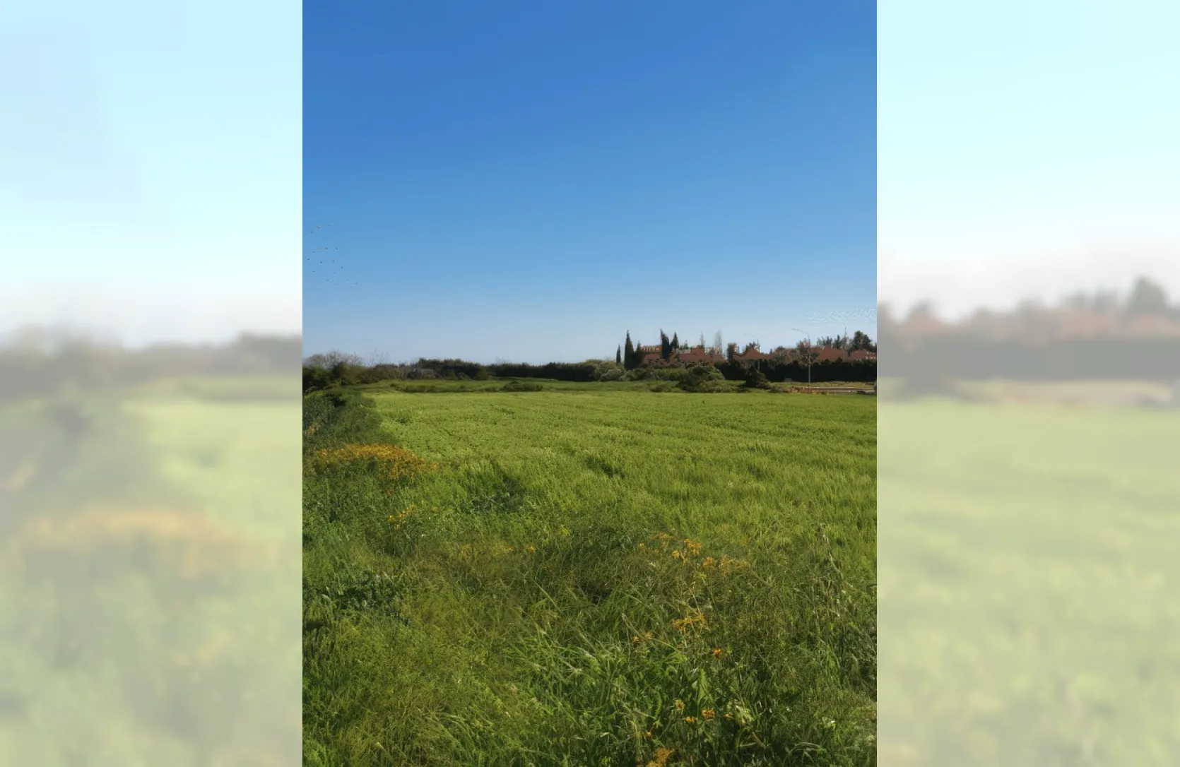 Industrial plot for sale - 13788