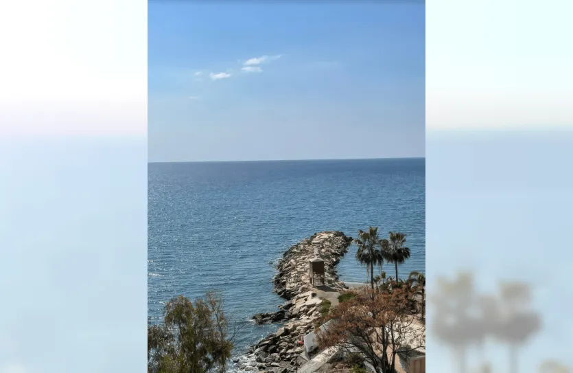 4 bedroom apartment - 13833, photo 26