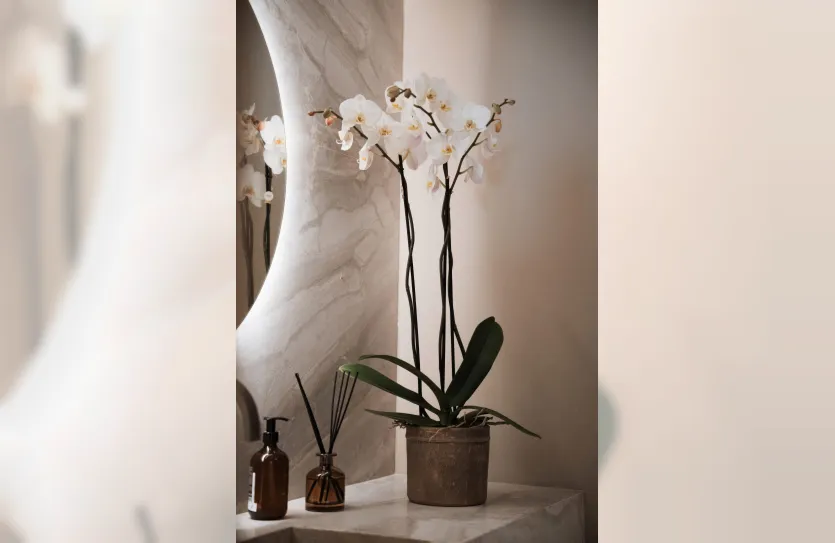 Квартира с 3-мя спальнями - 13833, photo 31