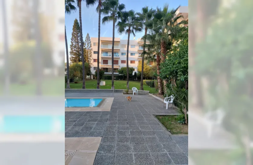 4 bedroom apartment - 14072, photo 4