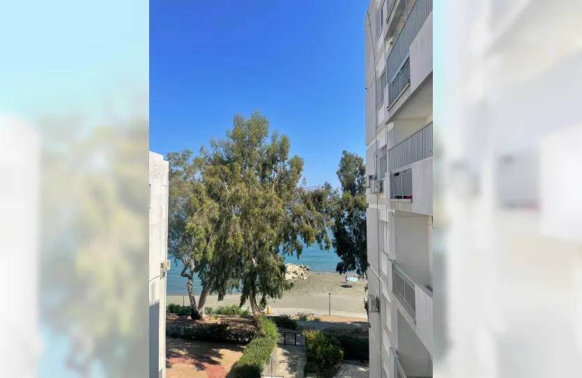 3 bedroom apartment - 14818, photo 18