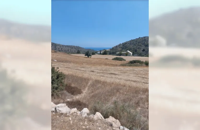 Участок - 14740, photo 4