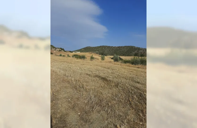 Участок - 14740, photo 9