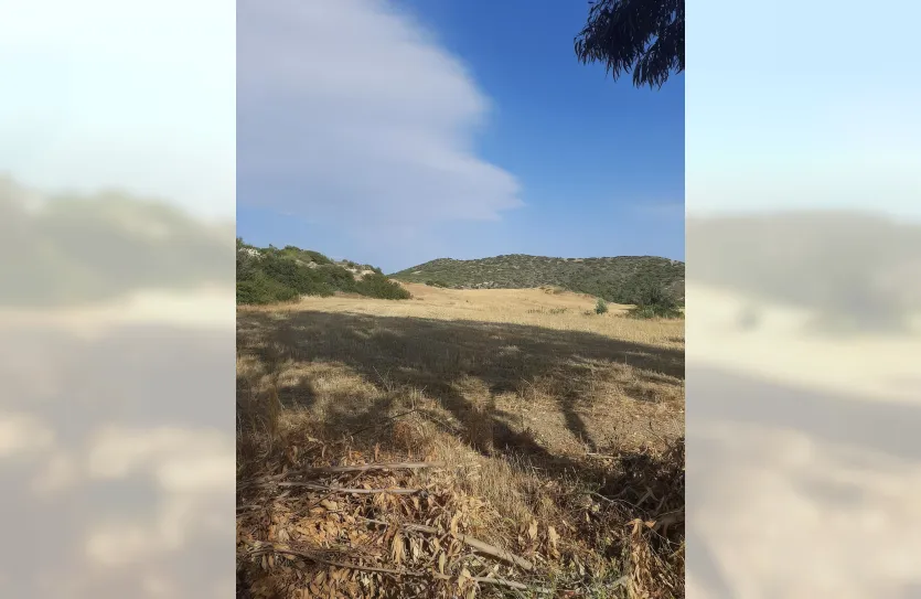 Участок - 14740, photo 8