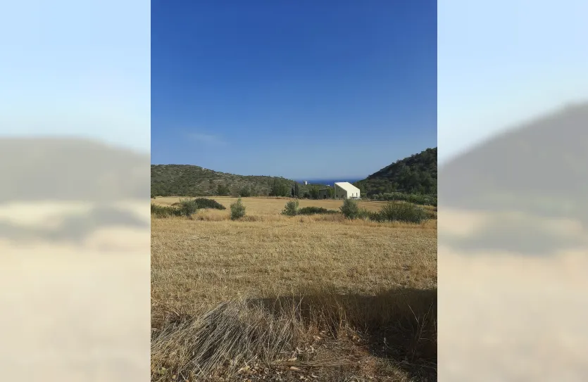 Участок - 14740, photo 7