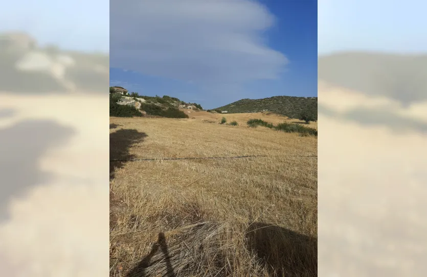 Участок - 14740, photo 6