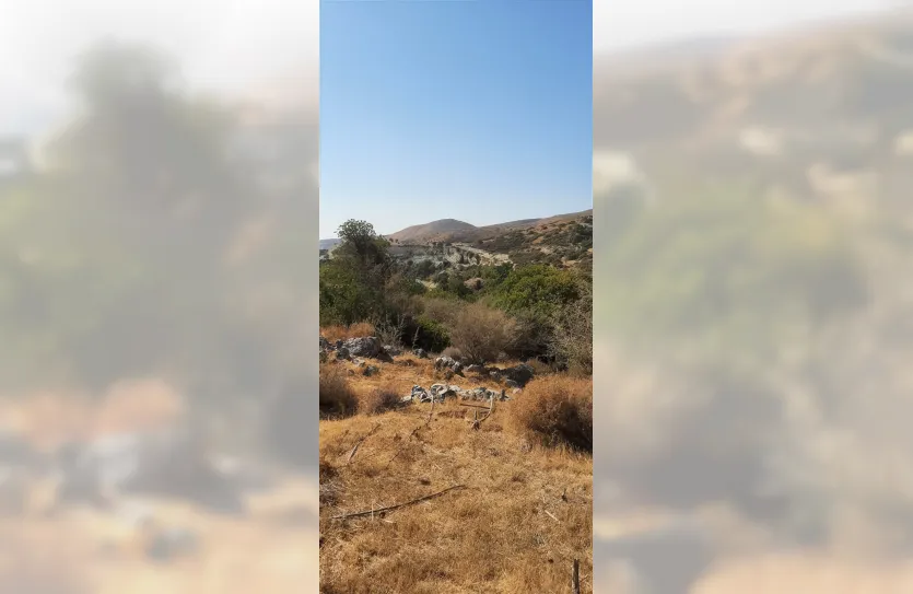 Plot - 13781, photo 8