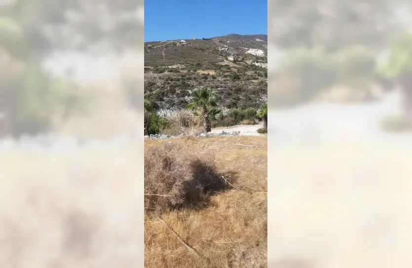 Plot - 13781, photo 9