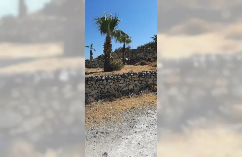 Plot - 13781, photo 6