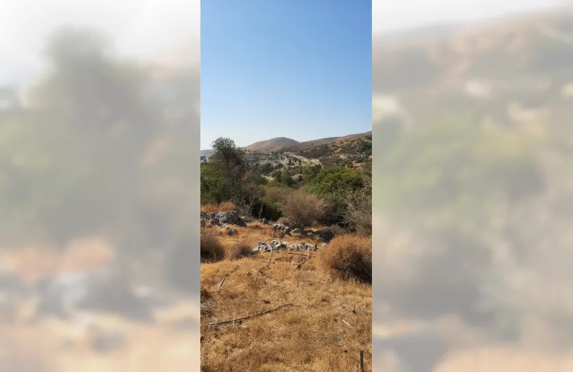 Plot - 13781, photo 4