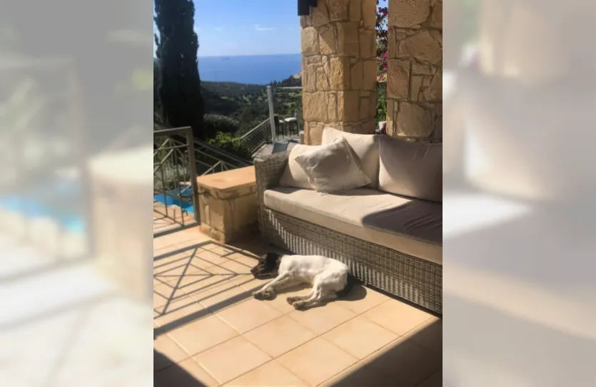 5 bedroom villa - 14975, photo 18