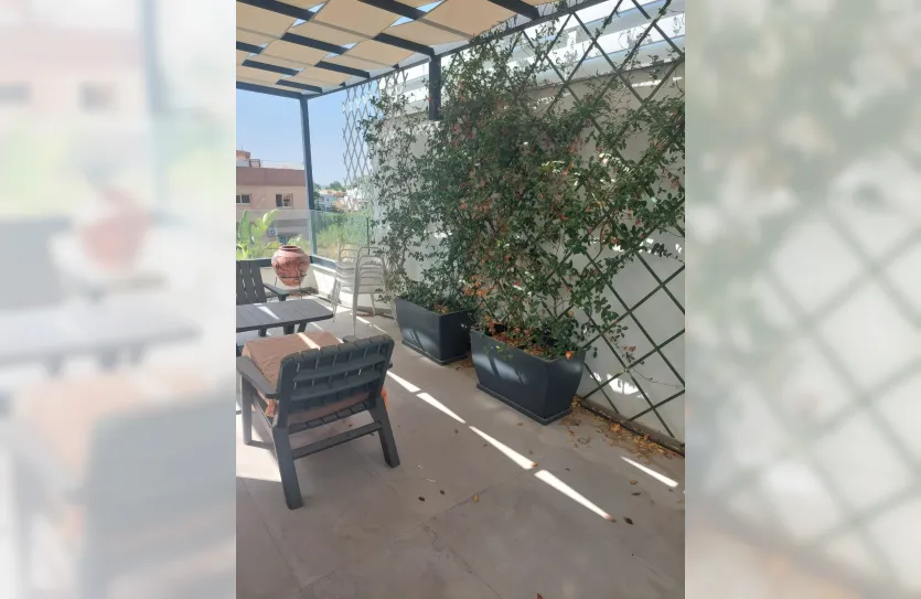 2 bedroom apartment - 14987, photo 19