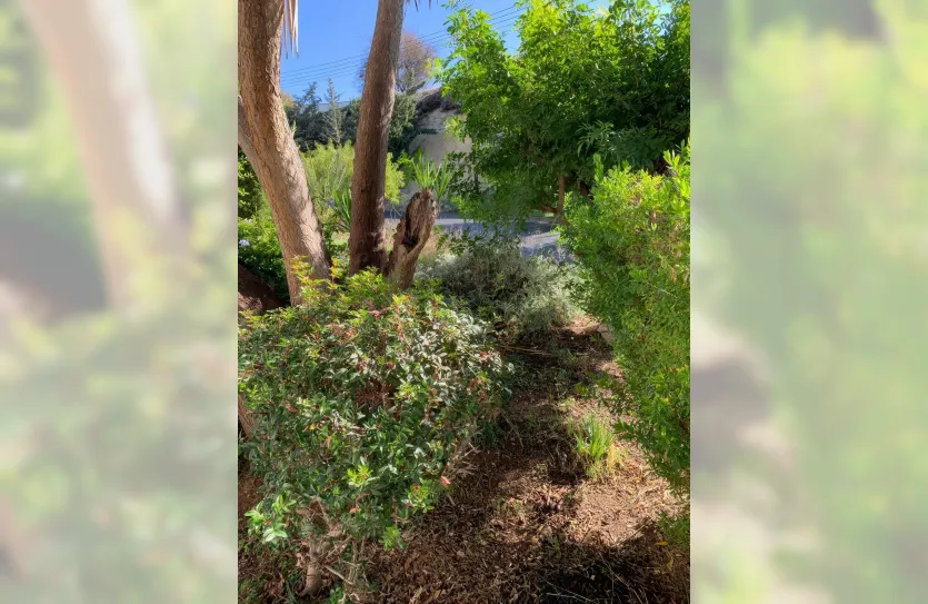 4 bedroom villa - 15223, photo 16