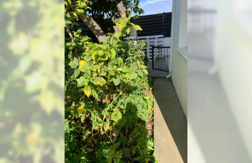 4 bedroom villa - 15223, photo 14