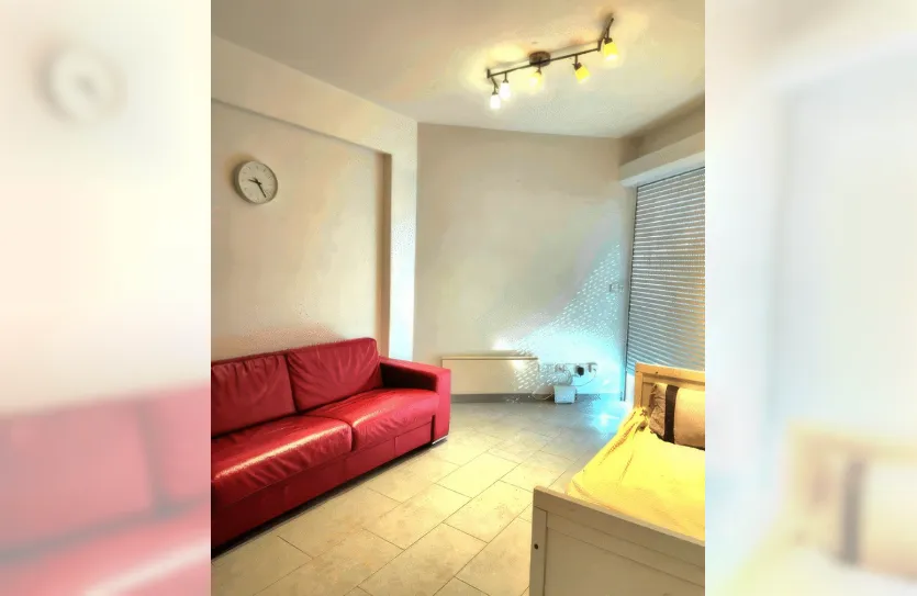 2 bedroom apartment - 15376, photo 12