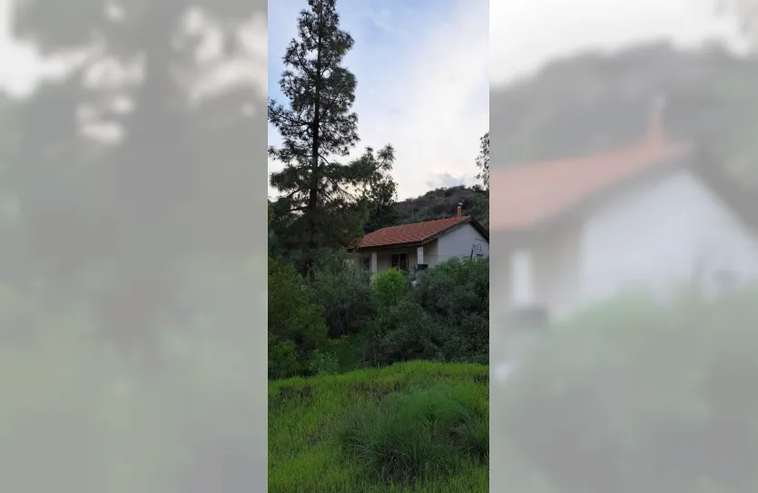 1 bedroom house - 15417, photo 6