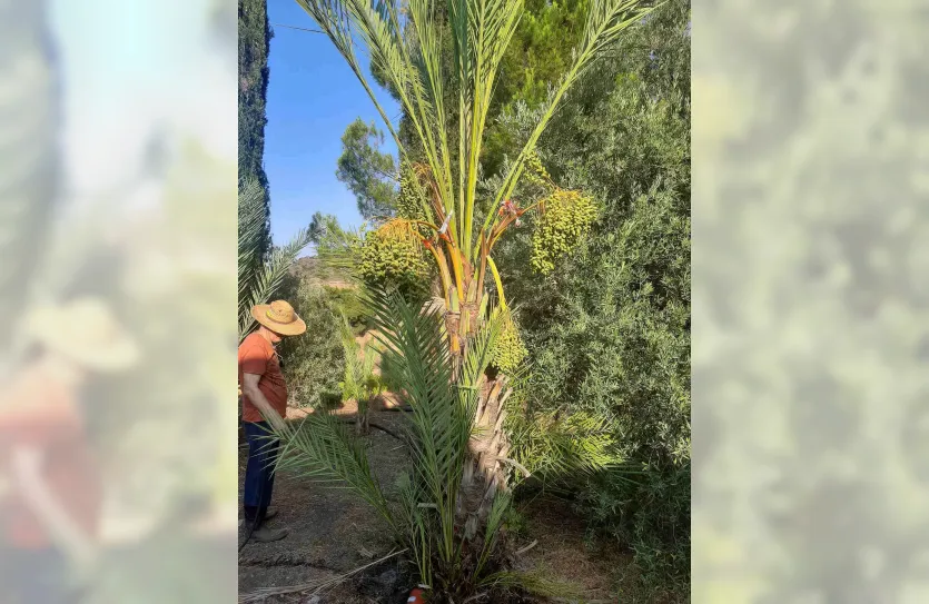 1 bedroom house - 15417, photo 5