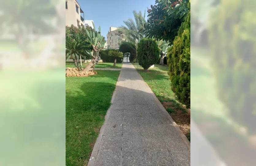3 bedroom apartment for rent - 15456