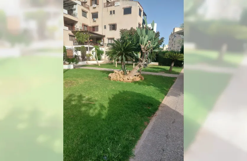 3 bedroom apartment - 15456, photo 12