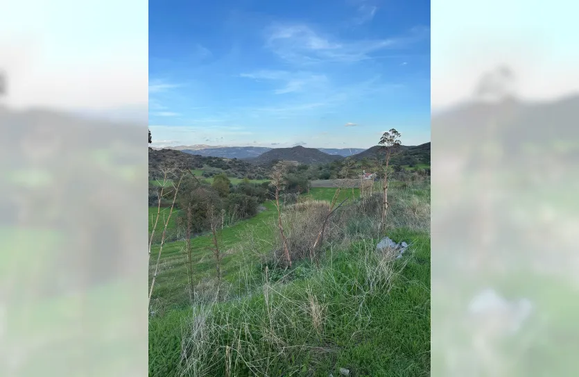 Участок с традиционным домом - 16269, photo 21